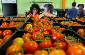 GOVERNO ESTIMA QUE BALANÇA AGROALIMENTAR TENHA MELHORADO 700 ME EM 2016