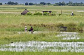 MAIS MIL PESSOAS ABANDONAM ÁREAS DE RISCO DEVIDO À SUBIDA DO RIO LIMPOPO EM MOÇAMBIQUE
