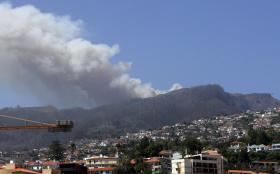 INCÊNDIOS: TRIBUNAL CONDENOU A 3 ANOS DE PRISÃO HOMEM QUE ATEOU FOGO FLORESTAL NA MADEIRA