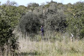 AUTORIDADES CHEGAM JUNTO DE CIDADÃO ESPANHOL NA PENEDA, HOMEM NÃO ESTÁ FERIDO