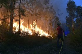 DUPLA DE INCENDIÁRIOS APANHA PENA SUSPENSA EM AVEIRO