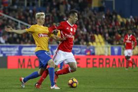 JOGO ENTRE ESTORIL E BENFICA, DA TAÇA DE PORTUGAL, MARCADO PARA 28 DE FEVEREIRO