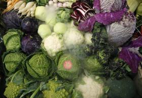 PROJETO DE PREVENÇÃO DO CANCRO CRIADO EM 2009 CHEGOU A DOIS MIL ALUNOS NO PORTO