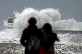 MAU TEMPO: MAR INVADIU PORTO DE PESCA DA FIGUEIRA DA FOZ