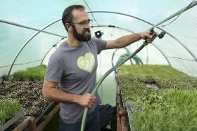 BENEFÍCIOS DA ALIMENTAÇÃO BIOLÓGICA ATRAEM CADA VEZ MAIS CONSUMIDORES