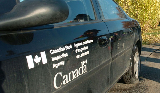 Um veículo da Agência Canadiana de Inspeção Alimentar é mostrado nesta foto de arquivo. (The Canadian Press/Don MacKinnon)