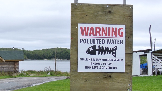 (Jody Porter/CBC)