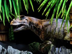 DESCOBERTAS 150 PEGADAS DE 21 ESPÉCIES DE DINOSSAUROS NA AUSTRÁLIA