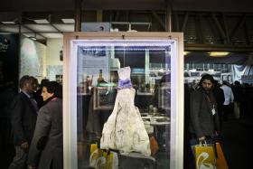 17328861.jpg