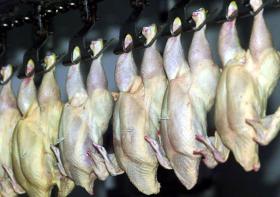 COREIA DO SUL RECUA NA SUSPENSÃO TEMPORÁRIA DA IMPORTAÇÃO DE CARNE DO BRASIL