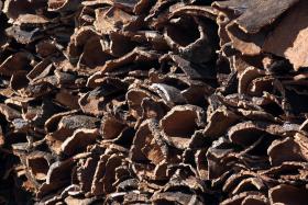 CORTICEIRA AMORIM INVESTE 10 ME PARA AUMENTAR CAPACIDADE DE PRODUÇÃO DE PAVIMENTOS