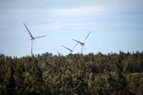 ENERGIAS RENOVÁVEIS NO MAR PODEM CRIAR MAIS VALIAS DE 250ME E MIL EMPREGOS – MINISTRA