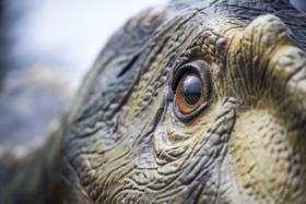 PENÍNSULA IBÉRICA TERIA A MAIOR DIVERSIDADE DE DINOSSAUROS SAURÓPODES – ESTUDO