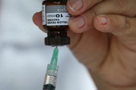 ESTADO BRASILEIRO DO ESPÍRITO SANTO REGISTA PRIMEIRA MORTE POR FEBRE-AMARELA PERTO DA CAPITAL