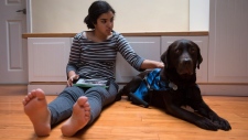 aya Kaler, 13 anos, com autismo, posa com o seu cão Pepe - 20 de dezembro de 2014. (Darryl Dyck / THE CANADIAN PRESS)