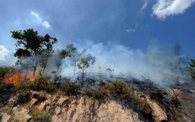 REATIVADO INCÊNDIO NO PARQUE PENEDA GERÊS