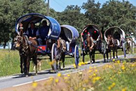 MAIS DE 300 PESSOAS PARTICIPAM NA ROMARIA A CAVALO ENTRE A MOITA E VIANA DO ALENTEJO