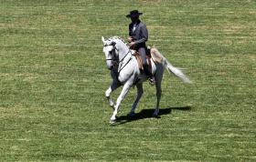 EQUITAÇÃO TERAPÊUTICA NO PORTO AJUDA JOVENS AUTISTAS A SEREM MAIS SOCIÁVEIS