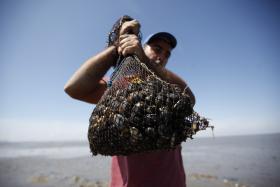 MARISCADORES VÃO TER FORMAÇÃO EM PRÁTICAS COM MENOS IMPACTO NA NATUREZA