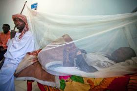 GOVERNO DA GUINÉ-BISSAU DISTRIBUI MAIS DE UM MILHÃO DE REDES MOSQUITEIRAS CONTRA PALUDISMO