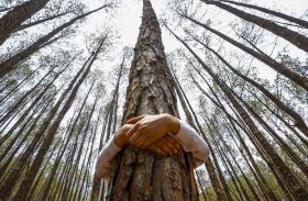 MOÇAMBIQUE É O PAÍS DO MUNDO MAIS AMIGO DO AMBIENTE