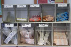 SARAMPO: MORTES DIMINUÍRAM 85% NO MUNDO DEVIDO À VACINAÇÃO