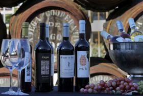 PRODUÇÃO DE VINHO NA CAMPANHA 2016/2017 TERÁ CAÍDO QUASE 20% – INFORMA D&B