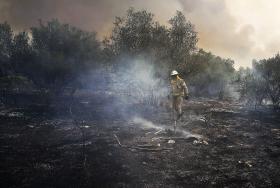 INCÊNDIO FLORESTAL PRÓXIMO DE DUAS EMPRESAS EM FAFE