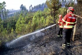 INCÊNDIO EM FIGUEIRÓ DOS VINHOS MOBILIZA QUASE 100 ELEMENTOS E UM MEIO AÉREO