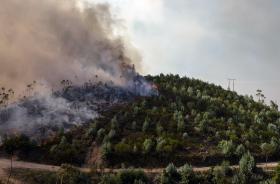 SETE CONCELHOS DO CONTINENTE COM RISCO “ELEVADO” DE INCÊNDIO – IPMA