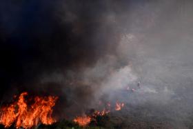 INCÊNDIOS: MAIS DE 170 HOMENS COMBATEM CHAMAS EM ÁGUEDA