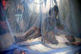 ANGOLA VAI DISTRIBUIR A PARTIR DE MAIO MAIS DE DEZ MILHÕES DE MOSQUITEIROS