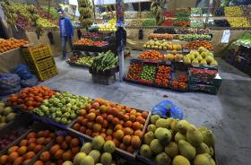 EMPRESA INVESTE 10ME EM DUAS UNIDADES INDUSTRIAIS DE FRUTA EM BEJA