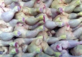 CERCA DE MIL TONELADAS DE FRANGO DO BRASIL APREENDIDAS EM MOÇAMBIQUE EM DEZ DIAS