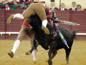 CAMPO PEQUENO ASSINALA 125 ANOS COM TEMPORADA TAURINA “FORTE”