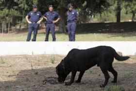 AUTORIDADES CONCENTRAM EM QUIAIOS BUSCAS POR HOMEM DESAPARECIDO NA QUINTA-FEIRA