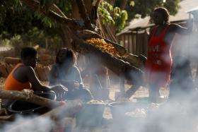 CAMPANHA DE CAJU JÁ CRIOU 12 MIL POSTOS DE TRABALHO NA GUINÉ-BISSAU – GOVERNO
