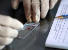 SUAZILÂNDIA COMPARA AMOSTRAS DE SANGUE PARA ENCONTRAR PORTUGUÊS DESAPARECIDO