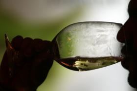 EUA DESTRONAM ANGOLA E TORNAM-SE TERCEIRO DESTINO DO VINHO DE MESA PORTUGUÊS