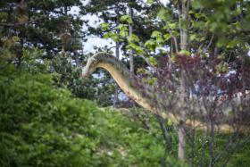 PALEONTÓLOGOS DA UNIVERSIDADE NOVA REVELAM NOVA ESPÉCIE DE DINOSSAURO