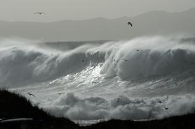 PROTEÇÃO CIVIL DOS AÇORES ALERTA PARA CHUVA E VENTO NO ARQUIPÉLAGO COM AVISO AMARELO