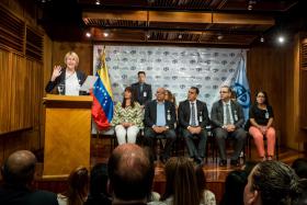 VENEZUELA: PROCURADORA-GERAL QUESTIONA NECESSIDADE DE ASSEMBLEIA CONSTITUINTE