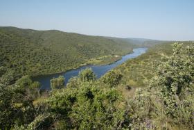 GNR REGISTOU NO ANO PASSADO 308 INFRAÇÕES EM PARQUES NATURAIS