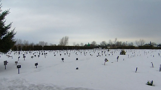Cemitério muçulmano localizado perto de Montreal, QC. (CTV)