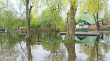 (CP24)