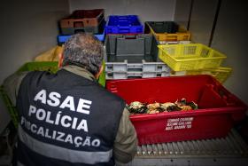 ASAE APREENDE 13 TONELADAS DE CARNE E PEIXE E ENCERRA ENTREPOSTO FRIGORÍFICO DE VISEU