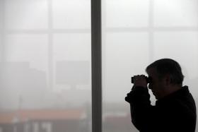 AVE NO REATOR OBRIGA AVIÃO A REGRESSAR AO AEROPORTO SÁ CARNEIRO