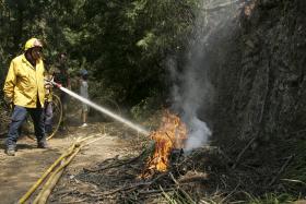 RESOLVIDOS FOGOS NO PARQUE NATURAL DE MONTESINHO, NO DISTRITO DE BRAGANÇA