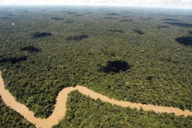 PRESIDENTE DO BRASIL VETA LEI QUE DIMINUIRIA ÁREA DE PRESERVAÇÃO NA AMAZÓNIA