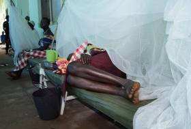 EPIDEMIA DE CÓLERA NO IÉMEN É A PIOR DO MUNDO COM 5.000 CASOS DIÁRIOS — OMS
